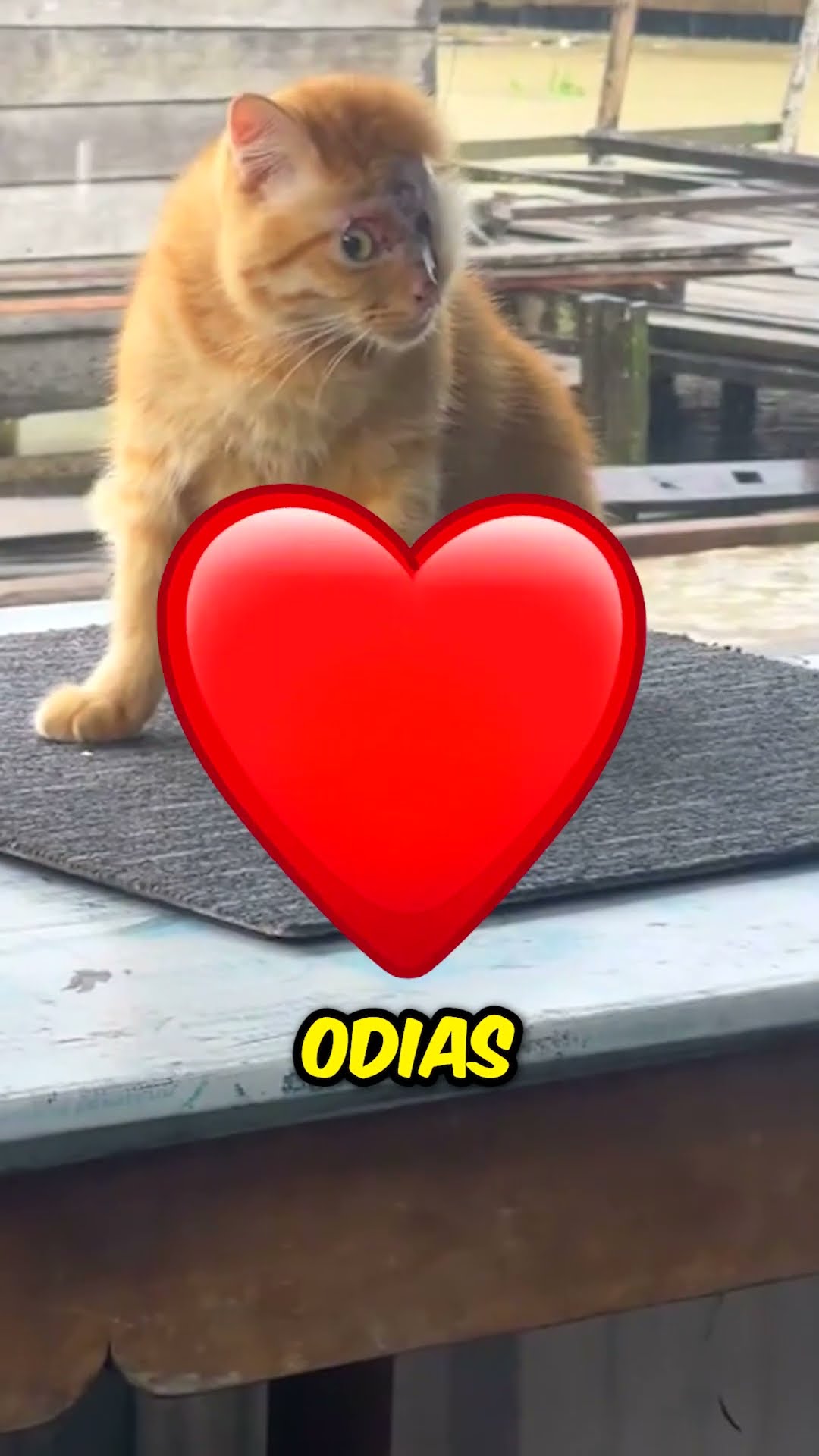 ¿Esto es una maldición? ?‼️