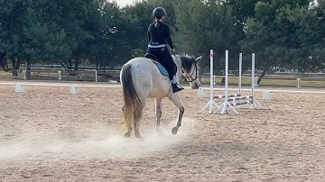 My first time falling off a horse | attempting to canter