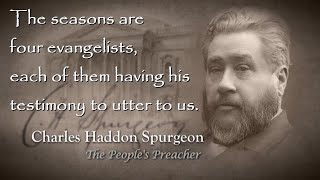 I Shall Rise Again - C.H. Spurgeon NPSC Devotional