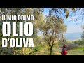 Il mio OLIO d'OLIVA: dalla raccolta molitura tutto in GIORNATA