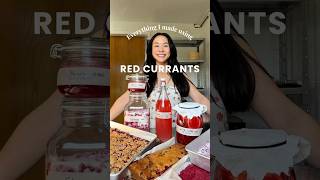 Everything I Made With Red Currants 8 Foods From Scratch
