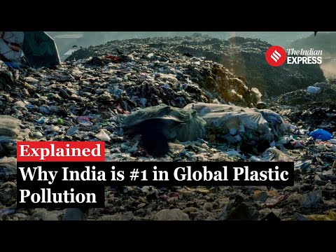 India Tops Global