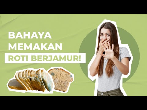 Video: Adakah roti berkulat membunuh anda?