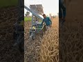 Solar Harvest Machine किसान की नई टेक्नोलॉजी ने सबको किया हैरान!Amazing Farming Innovation #shorts