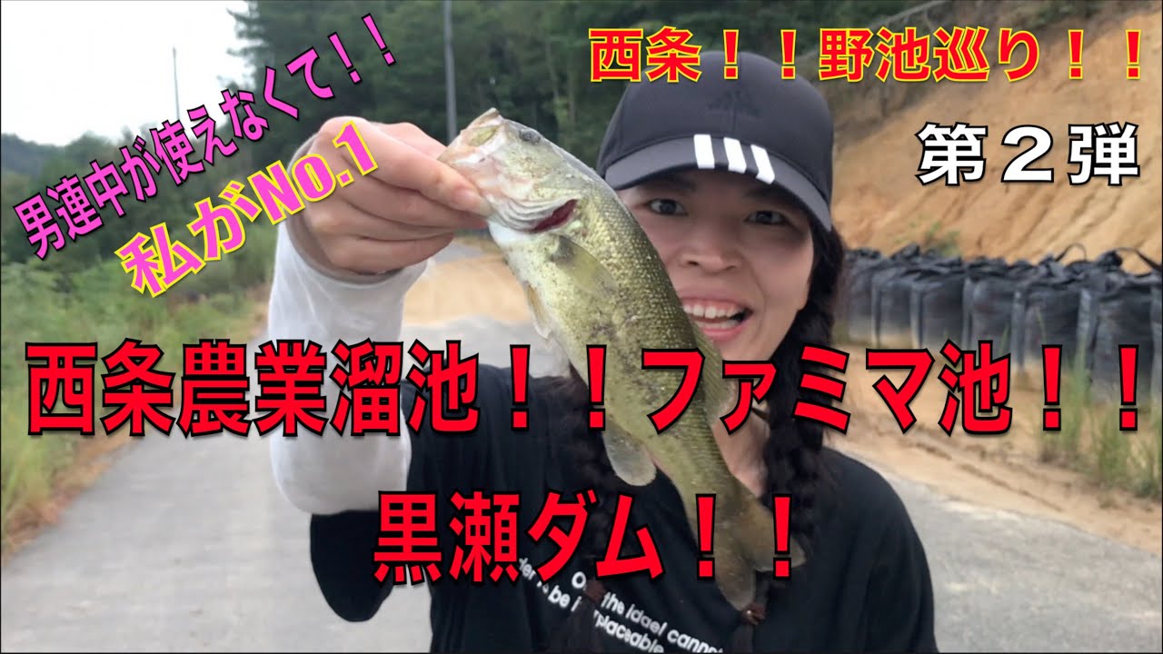 バス釣り 西条 野池巡り 第二弾 西条農業溜池 ファミマ池 黒瀬ダム編 Youtube