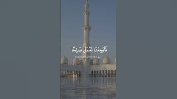 سورة السجدة (١٢-١٣)🤍