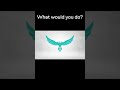 What would you do?