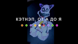 КэтНэп. От А до Я (2024) Main Point Academy &amp; Odesa Animation Studio