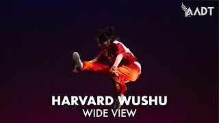 Harvard Wushu Club | Eastbound 2024 [Wide View]