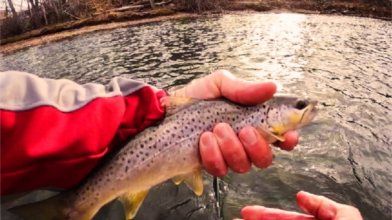 В выходные, когда проходит Суперкубок, вас ждет увлекательная рыбалка в стиле тенкара!