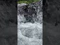 いやもう、本当に、ただ夏の川に入って撮った動画です。まだ暑いので、見た目だけでも涼めば良いなと思います、はい。