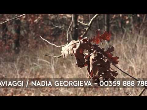 Video: Kuinka Naida Bulgaria