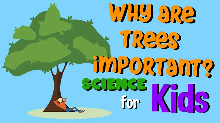 Why are Trees Important? | Science for Kids