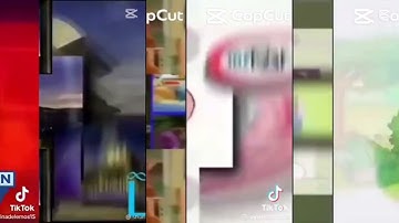 16 Groups Of Shuric Scans 