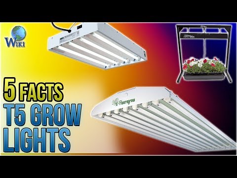 T5 Grow Lights A Guide And, Vivosun 6500k 2ft T5 Ho Fluorescent Grow Light Fixture