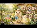 Relaxing Celtic Music for Work & Study│ Little Animals and Their Quiet Spring Days 🌸