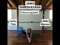 Janu Shirshasana - Pierna Izquierda - Hatha Yoga - Aldo Mansur.