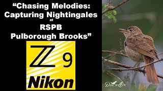 Chasing Melodies: Capturing Nightingales at RSPB Pulborough Brooks