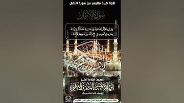 تلاوة طيبة ما تيسر من سورة الأنفال للقارئ الشيخ أبي حمزة عيسى المصنف العتمي حفظه الله تعالى ورعاه