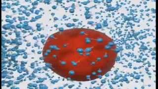 Micelle Animation Combo