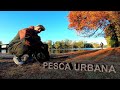 PESCA URBANA - Día de pesca / Street Fishing / Lagos de Palermo