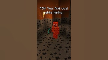 POV: You find coal while mining #minecraft