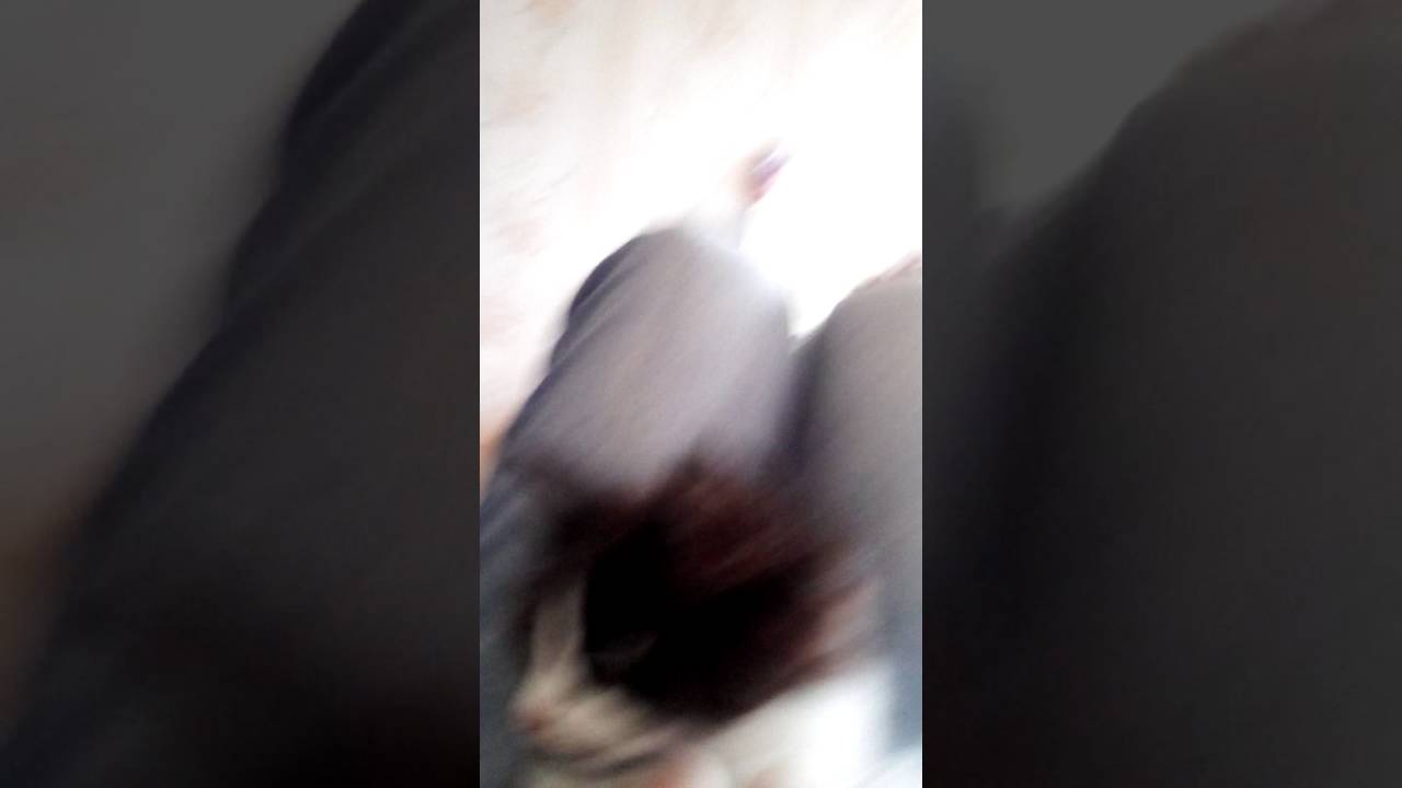 Сплю и трахаюсь видео, две девушки