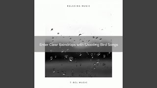 Instant Raindrops with Unique Wilderness Songs pt. 2