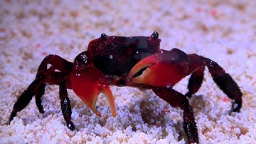 The Internet of Experiences:  CES 2014 Beam and Share NFC Selfie