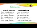 Урок русского языка  7 классе