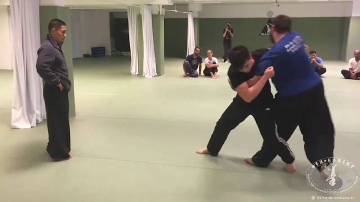 Chen ziqiang in Brazil - This is Tuishou