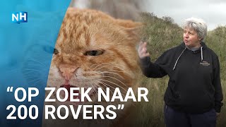 Kattenjagers van start op Texel