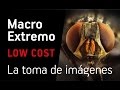 Macro Extremo LOW COST - La toma de imágenes