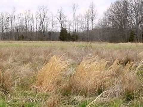 386 Meadow Ln, Madison, IN home video tour