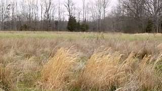 386 Meadow Ln video tour
