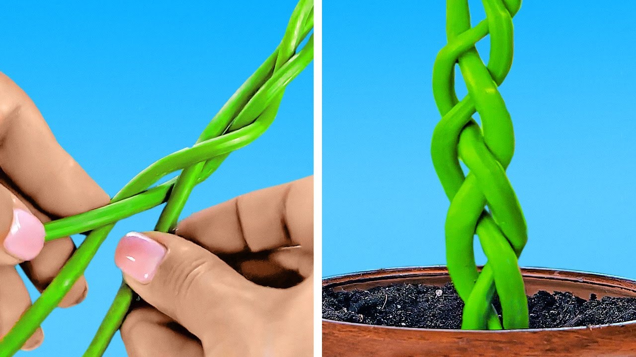 Clever Plant Hacks That You’ll Be Glad To Know