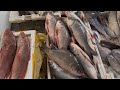I Never Seen!! Giant Rohu Fish Cutting Live | Fish Market | Fish Cutting Skills | Rohu Fish