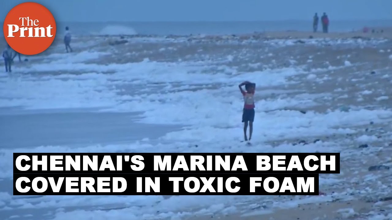 Chennai's Marina Beach covered in toxic foam Chennai's Marina Beach covered in toxic foam