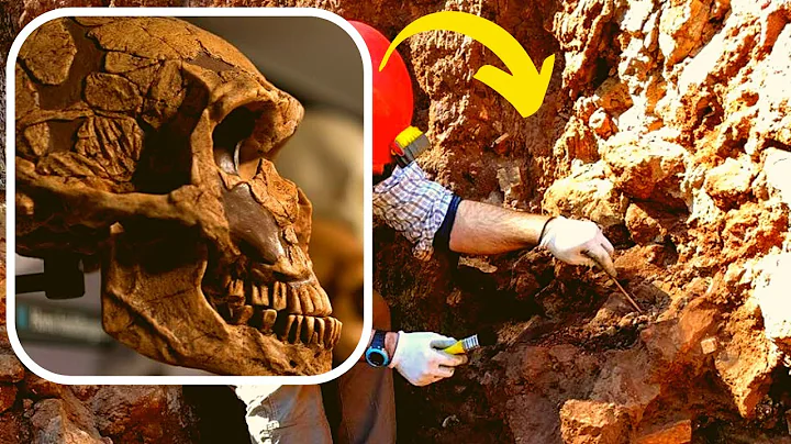 A Two Million Year Old Fossil Has Totally Overturned What We Know About Our Human Ancestors - DayDayNews