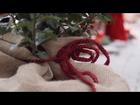 Video: Nützliche Fröste Für Den Winter