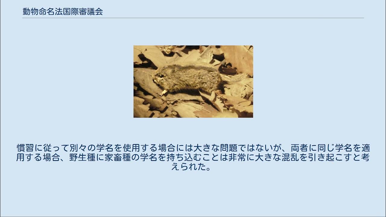 動物命名法国際審議会 YouTube