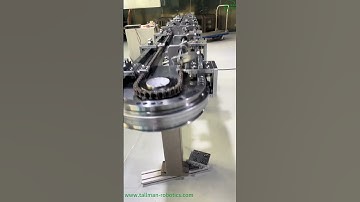 Chain Driven Circular Conveyor System