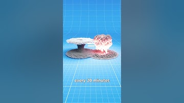 Could A Bomb Blow Up A Hurricane? 🤯