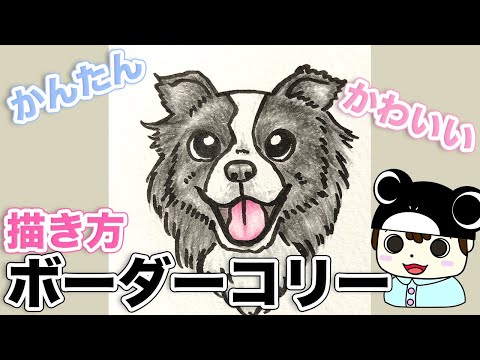 犬のイラスト 可愛い ボーダーコリーの描き方 Youtube