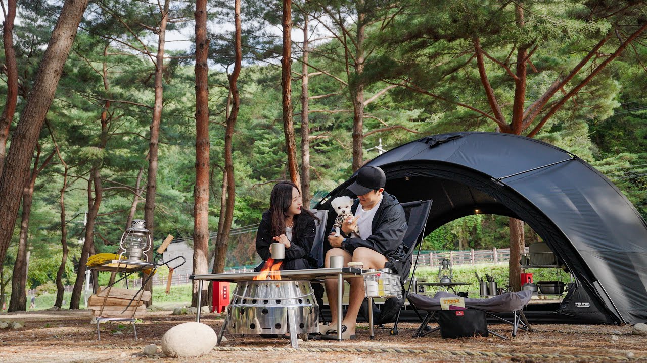 Кемпинг с собакой у горного ручья в лесу [ASMR][4K]