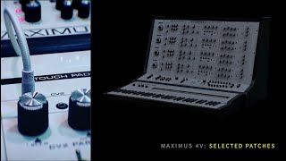 Analogue Solutions Maximus 4V Four Voice Polyphonic Synthesizer | Selected Patches