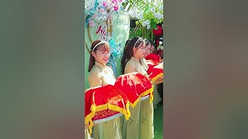 Đội bê tráp đang trao nhận mâm #honlemientay #shorts #wedding