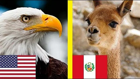 ¿Cómo se llama el animal nacional de China?