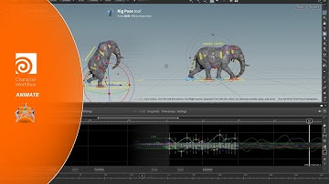 Character Workflow: Animate