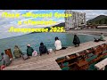 Ржавый причал и пляж "Морской бриз",Лазаревское в октябре 2025.